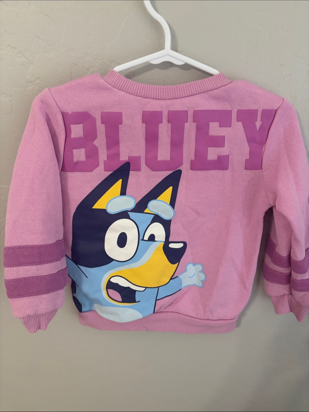 Kids Pink Bluey Graphic Pullover Sweatshirt